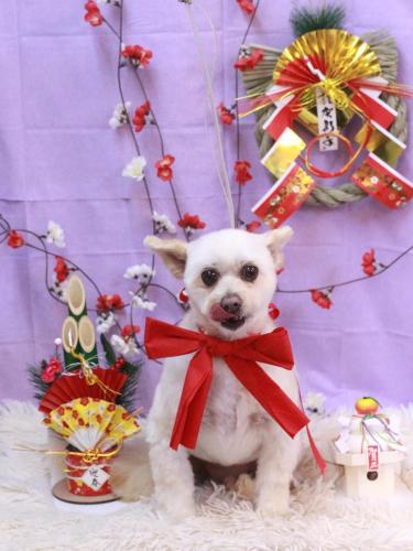 20230128ポンタくん